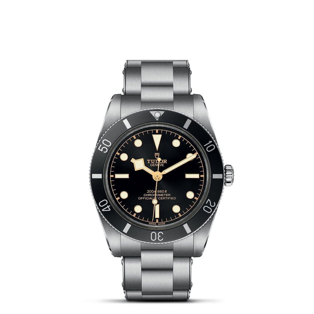 TUDOR Black Bay 54 M79000N-0001