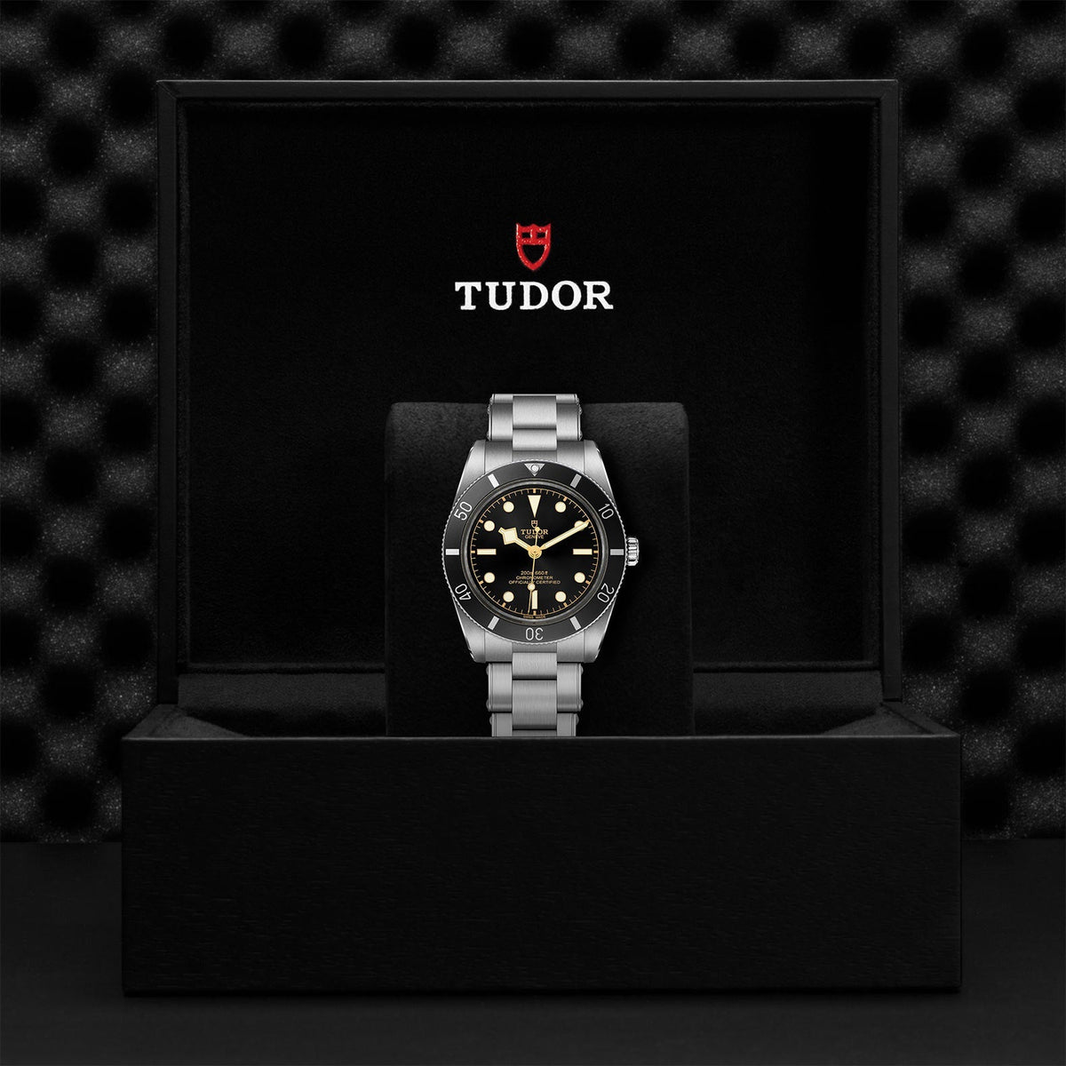 TUDOR Black Bay 54 M79000N-0001